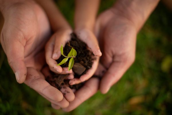 Beyond Birthday Cake