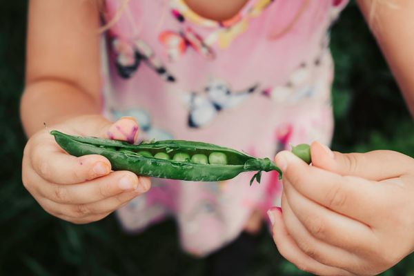 18 Things To Do With Your Family in July