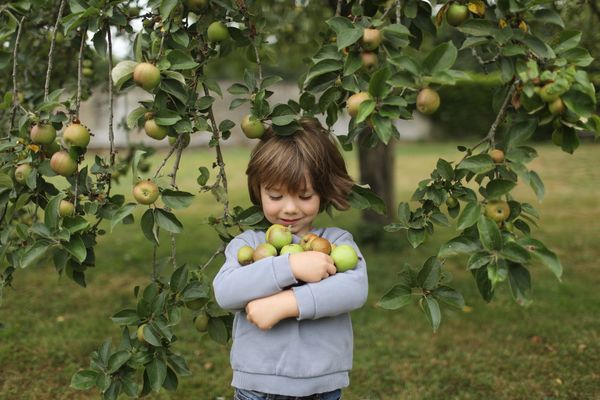 13 Things To Do With Your Family in September