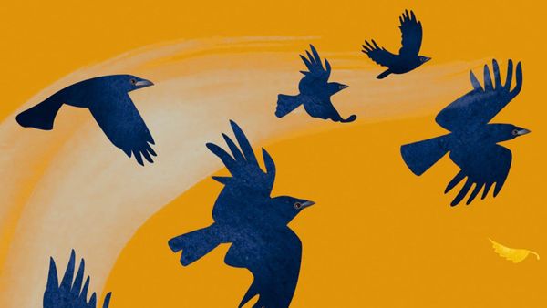 Illustration of crows flying across an orange sky, by Rachel Hudson