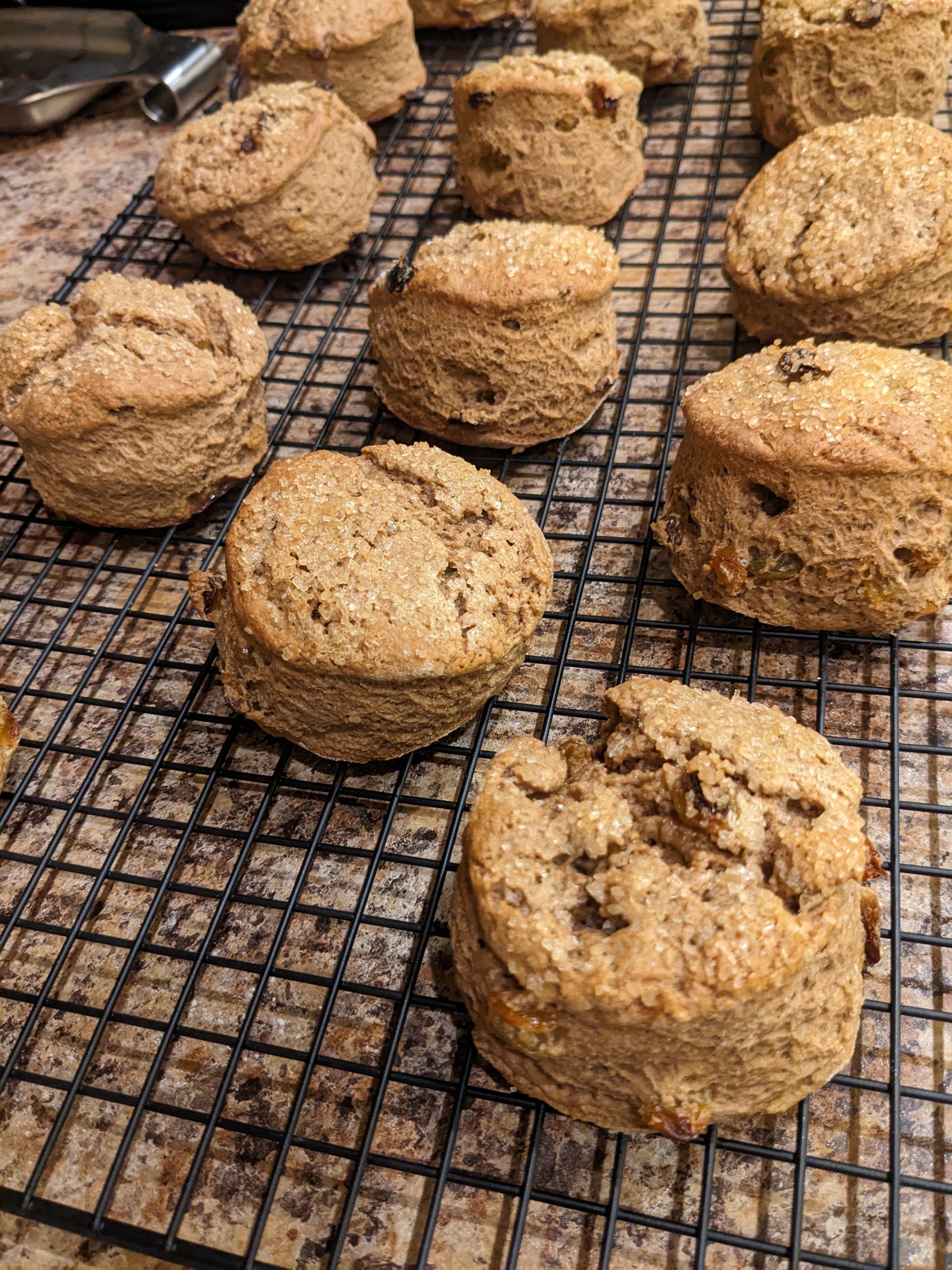 PXL_20230302_000229066