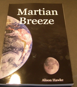 NaNoWriMo book cover.