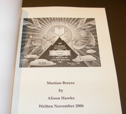 NaNoWriMo book inside.