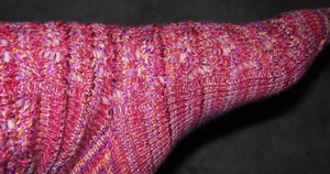 Elfine Tofutsies socks.