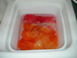 Sock yarn rinsing.