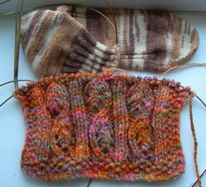 Fuchsia lace and sock.