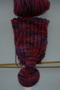 Koigu neck scarf.