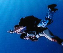 Exit plane, screaming.