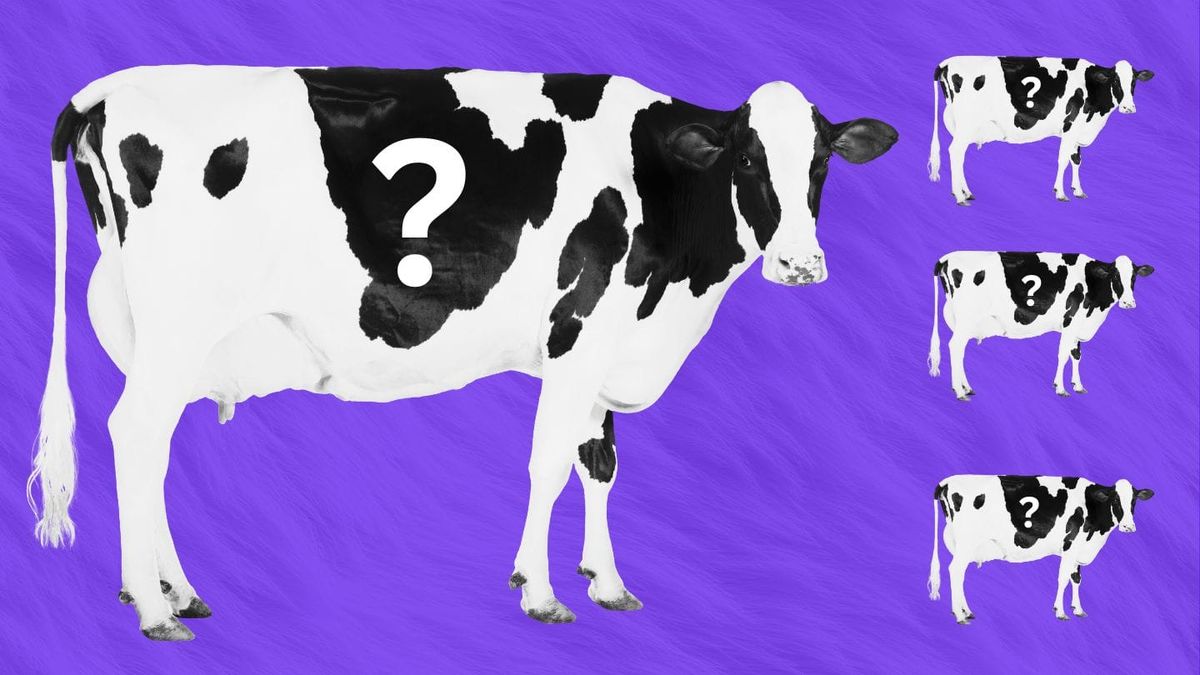 Why Solopreneurs are Sleeping On their Greatest Competitive Advantage