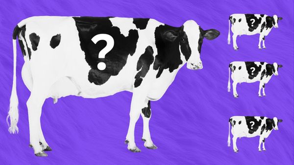 Why Solopreneurs are Sleeping On their Greatest Competitive Advantage