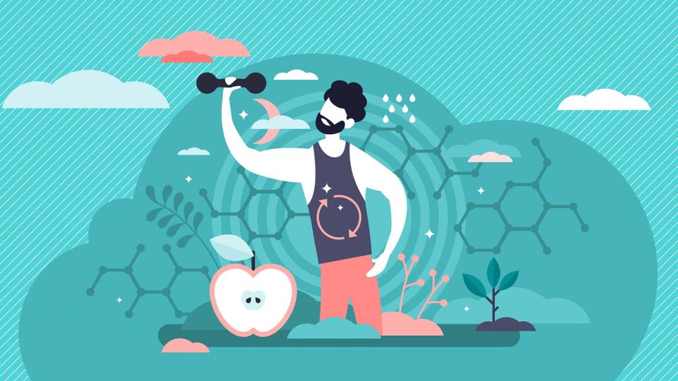 5 Metabolism Myths: Separating Fact from Fiction