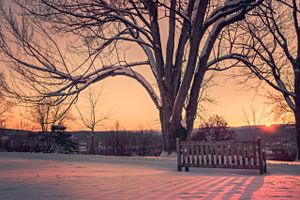 Outsource your decisions Post feature image