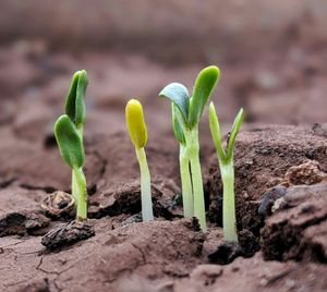 Growing is for everyone Post feature image