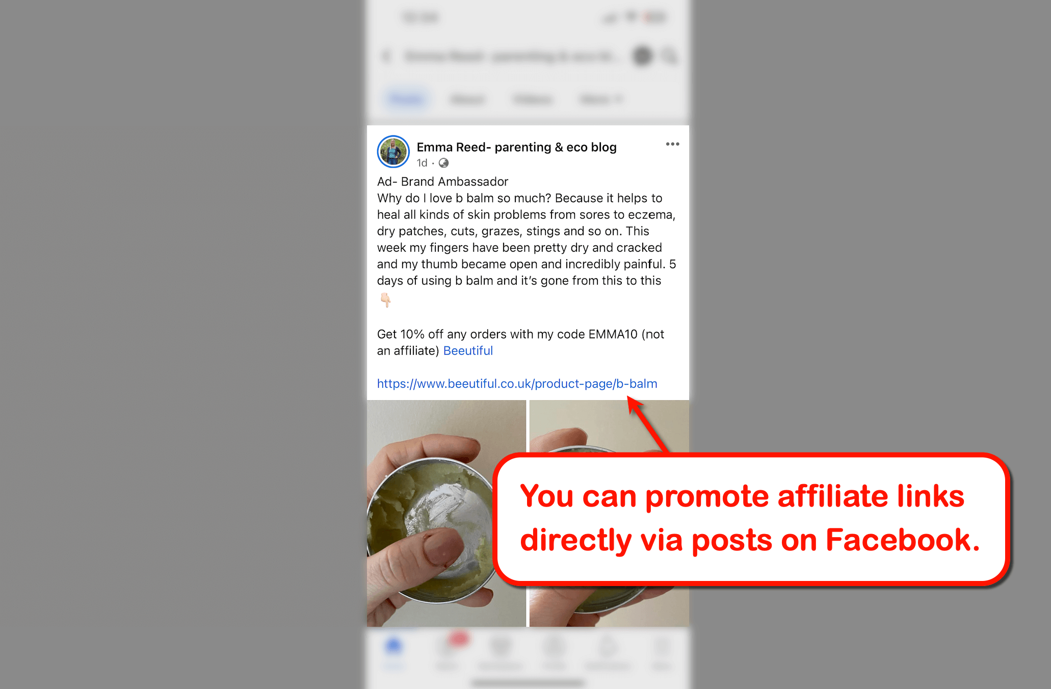 Promote affiliate links via Facebook posts.