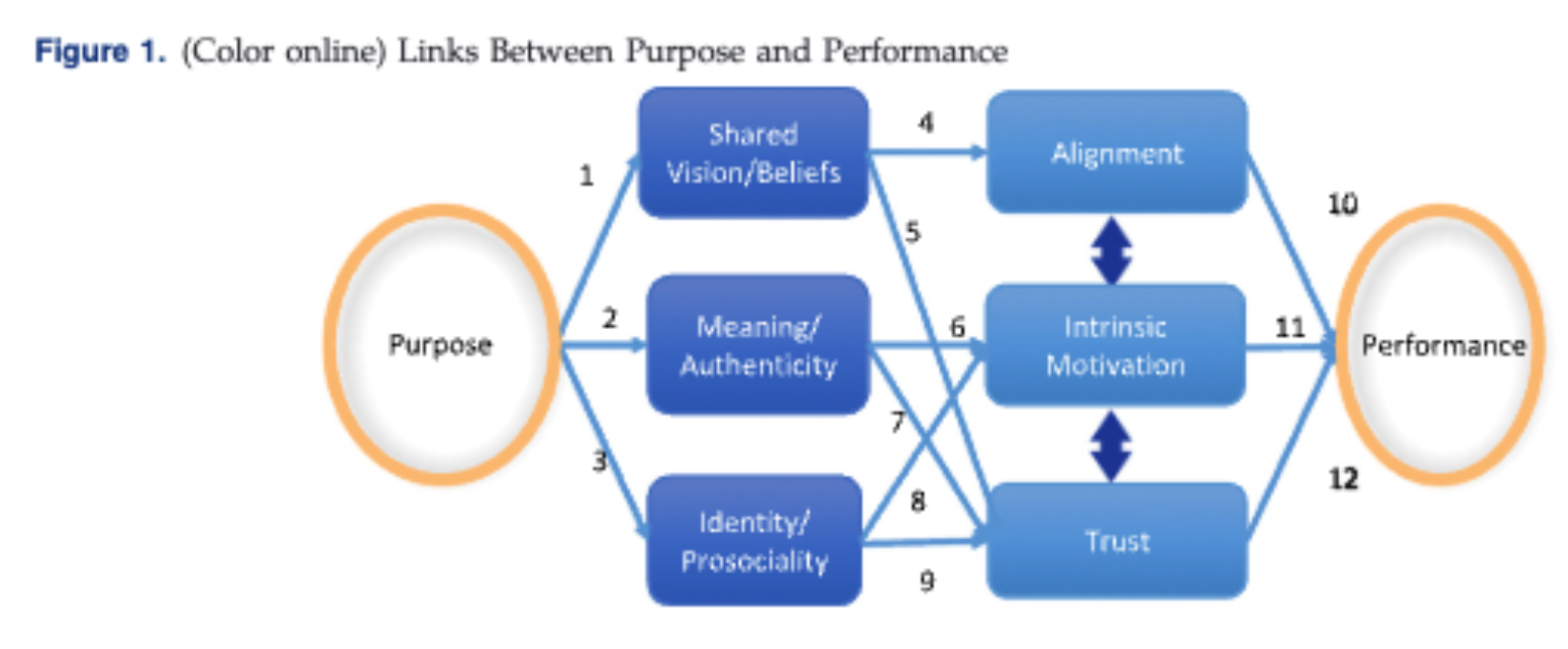 A diagram showing how 6 interconnected elements allow Purpose to lead to Performance