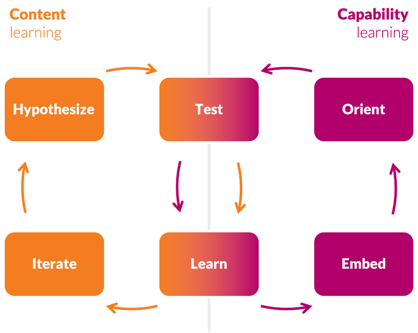 A colorful graphic of two overlapping word circles for "Content. learning" and "Capability learning"