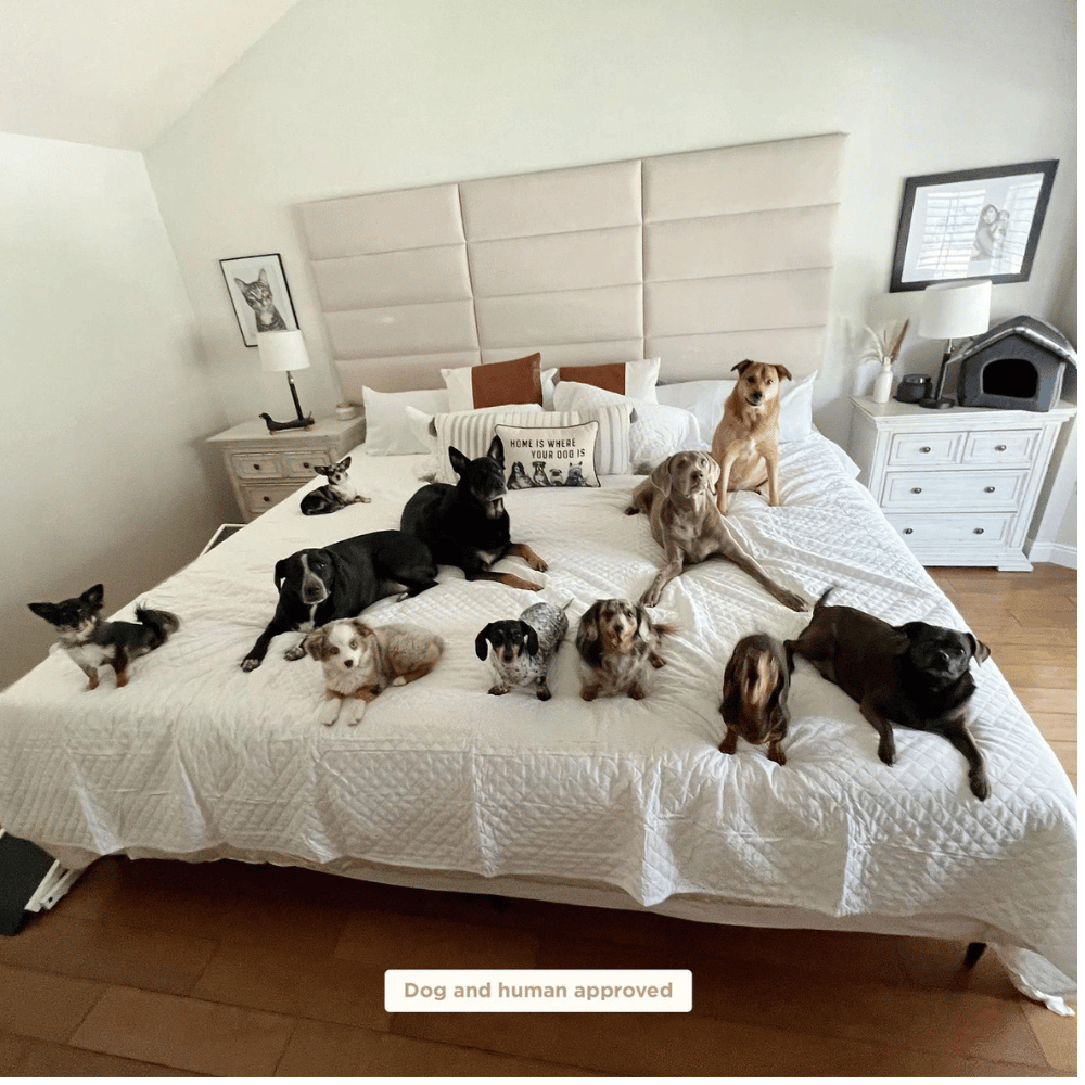 Big Mattress Co. Classic mattress enhances spinal alignment