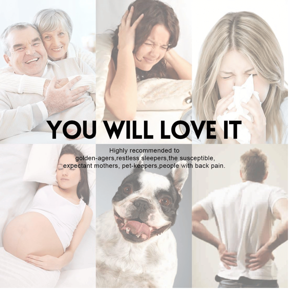 LEISURE TOWN mattress pad