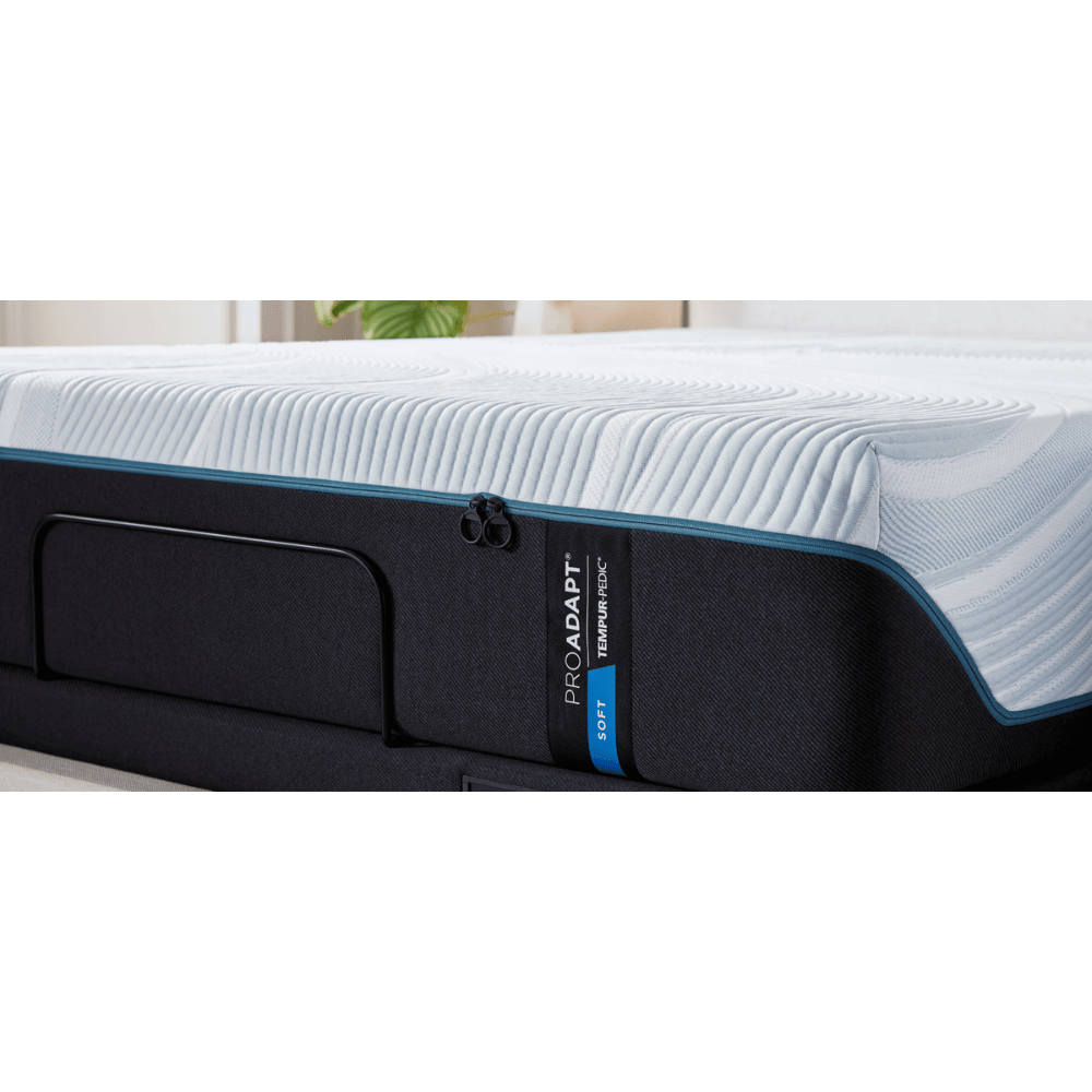 TEMPUR ergonomic foam bed