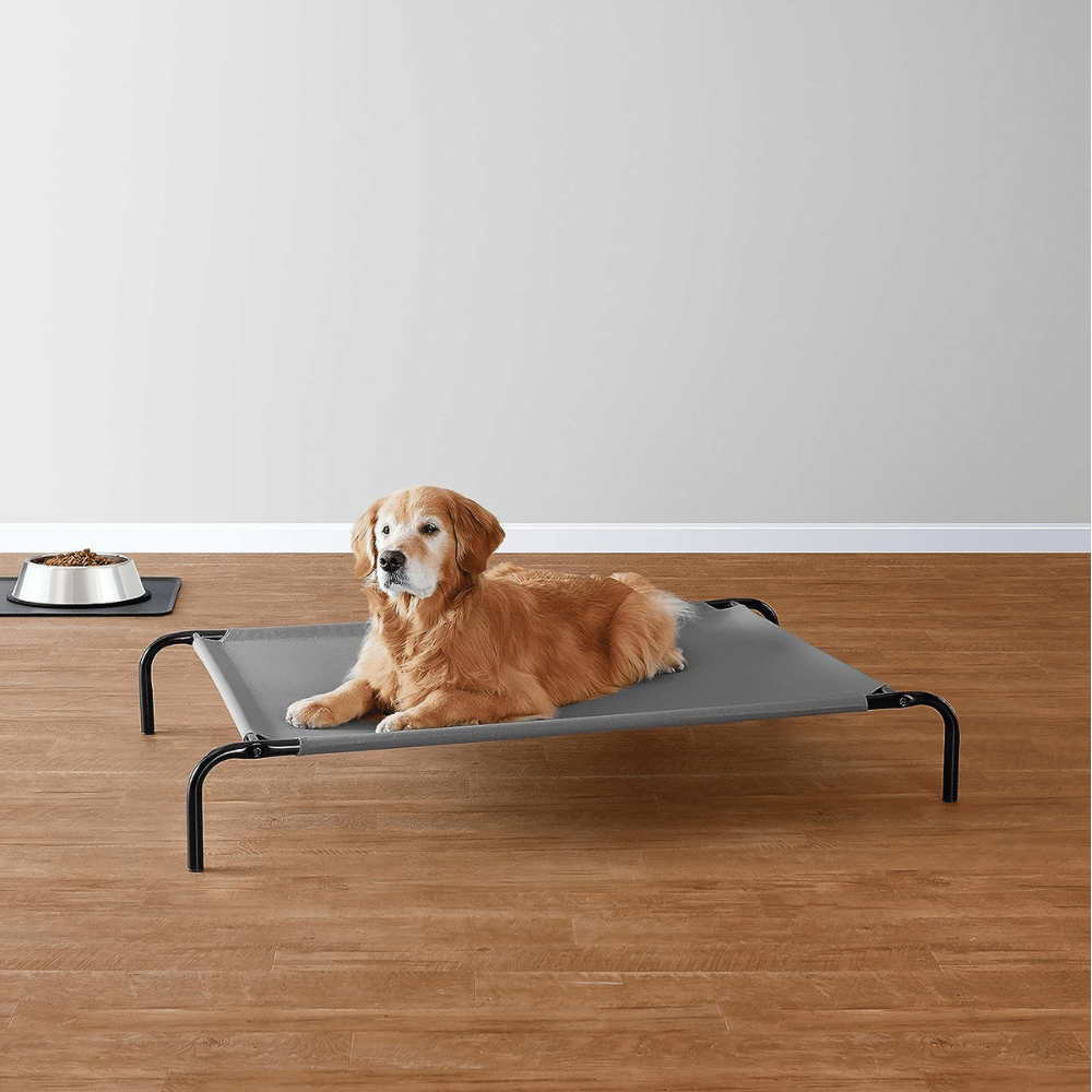 Explore the best dog bed frame.