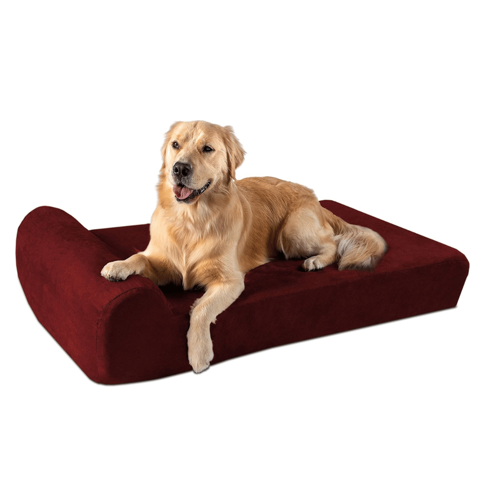 Learn about the best metal frame dog bed.