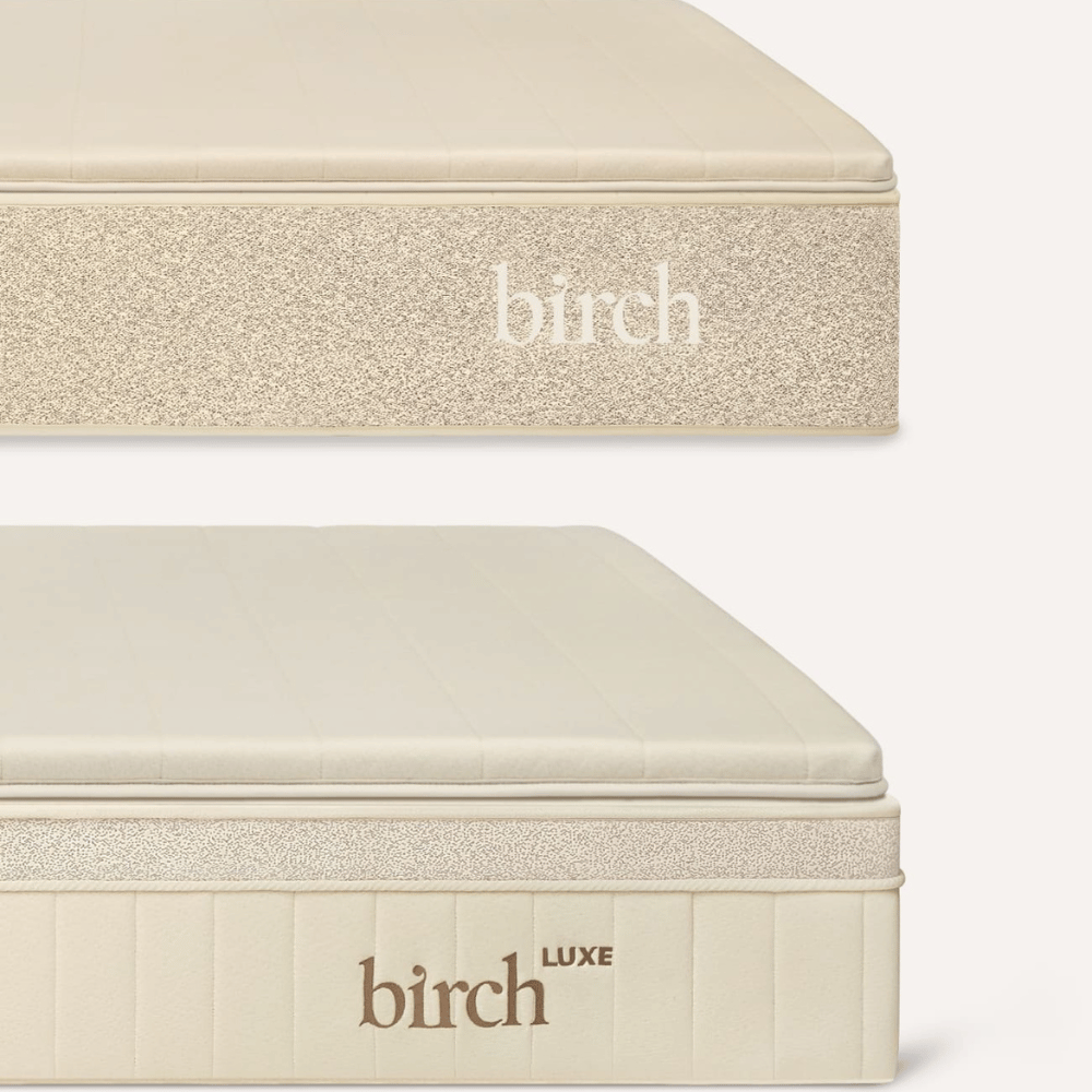 Birch soft support topper