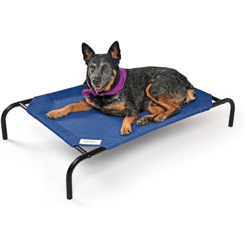 Explore our elevated dog bed frame.