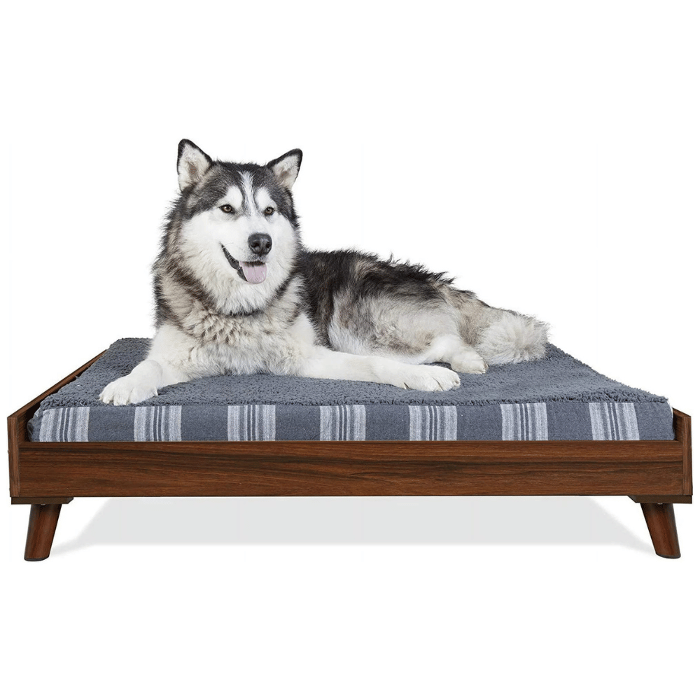 Discover dog bed frames for large dogs.