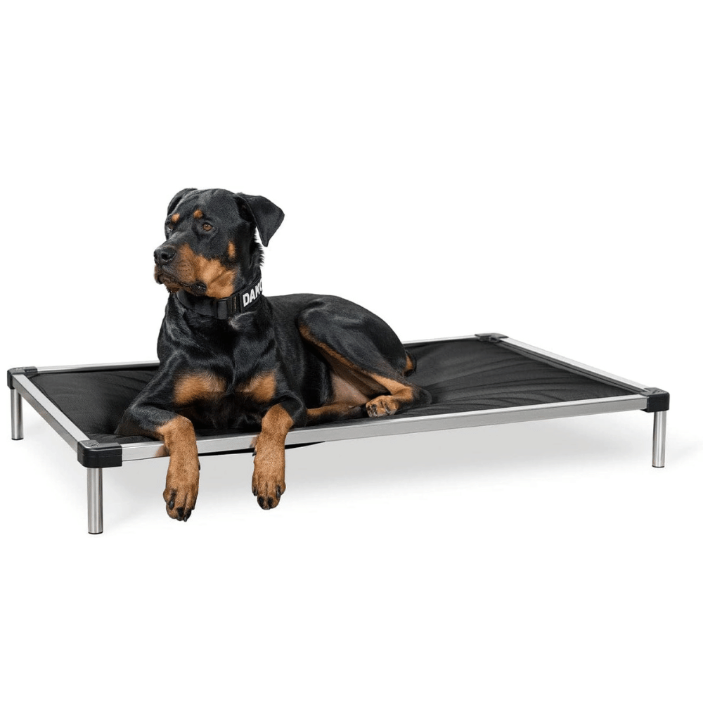 Explore the bed frame with dog bed.