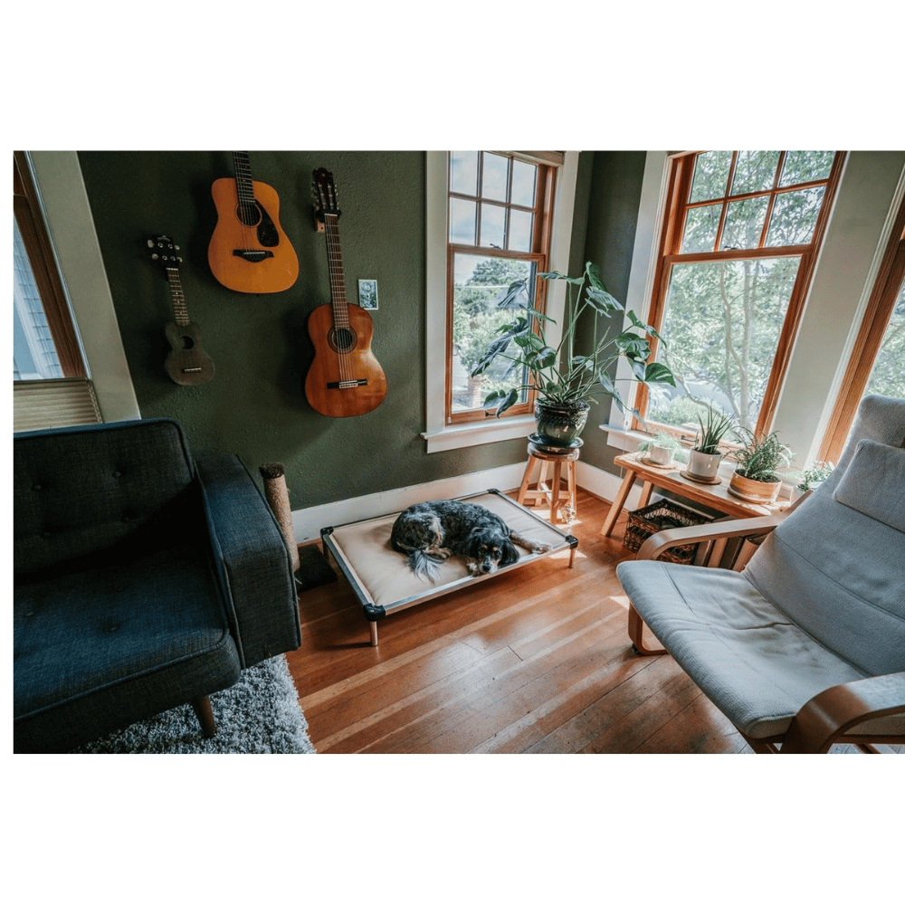 Discover the best dog mattress and bed frame.