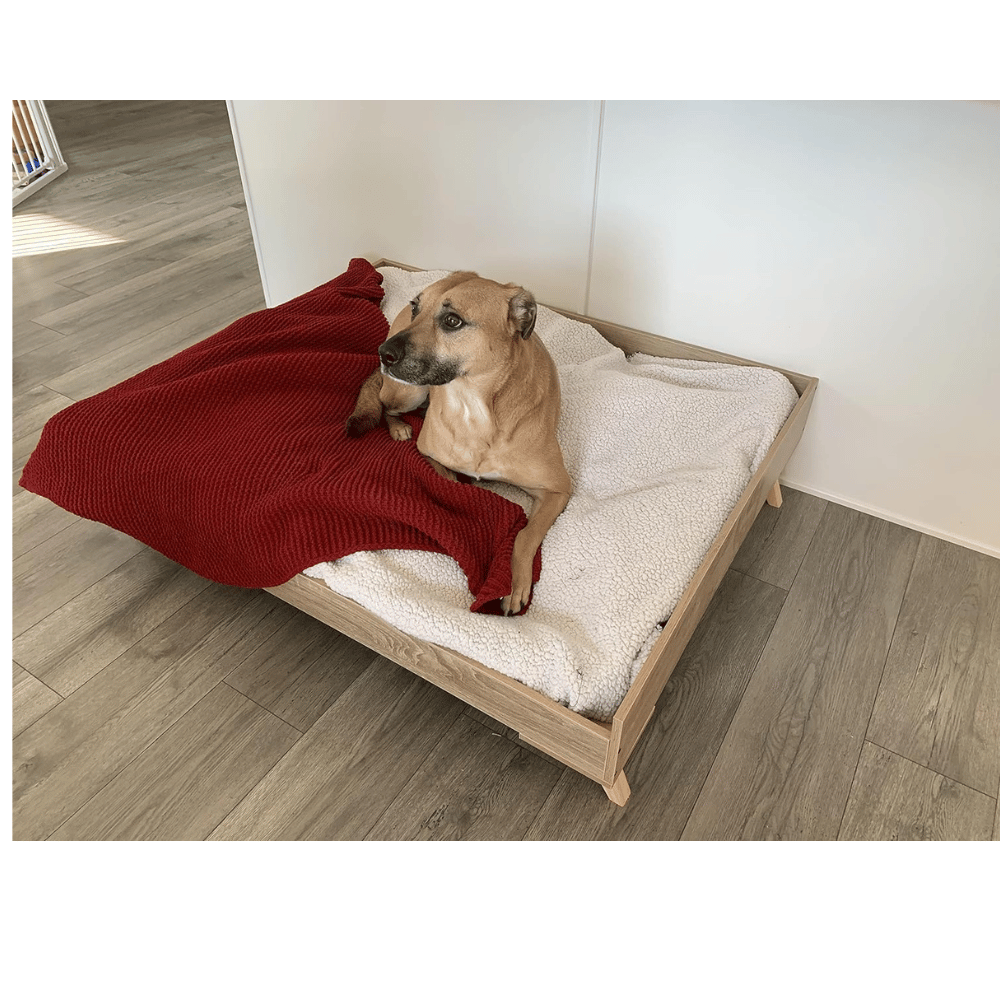 Dog bed frames for large dogs.