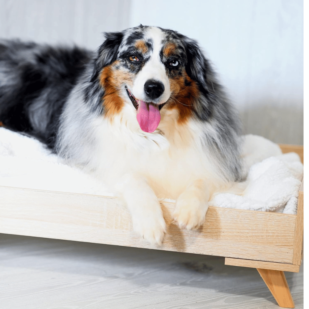 Elevated dog bed frame.