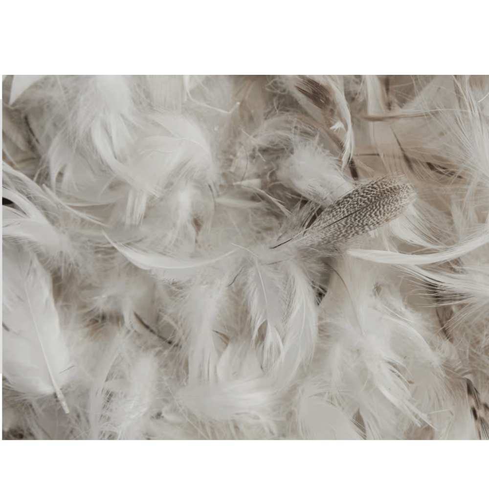 Parachute featherbed comfort topper
