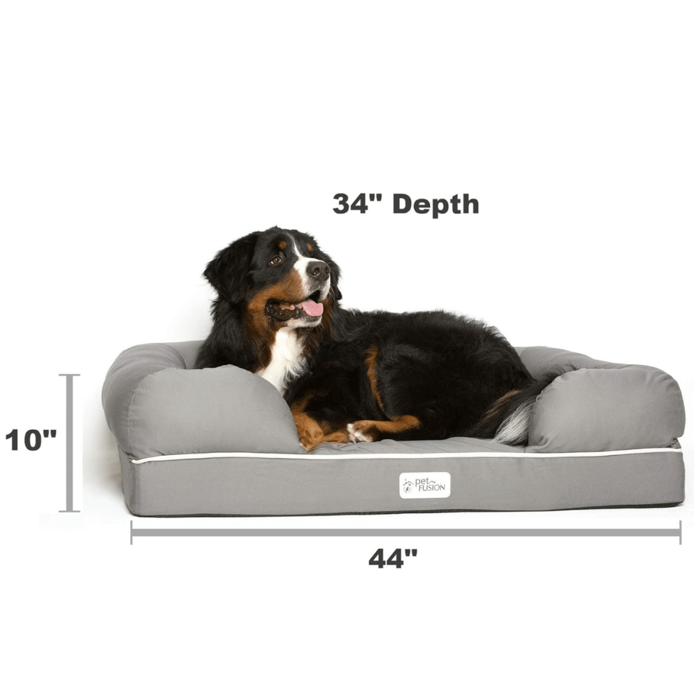 Learn more about the extra large dog bed frame.