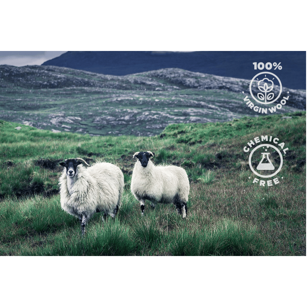 PlushBeds organic wool topper cozy comfort