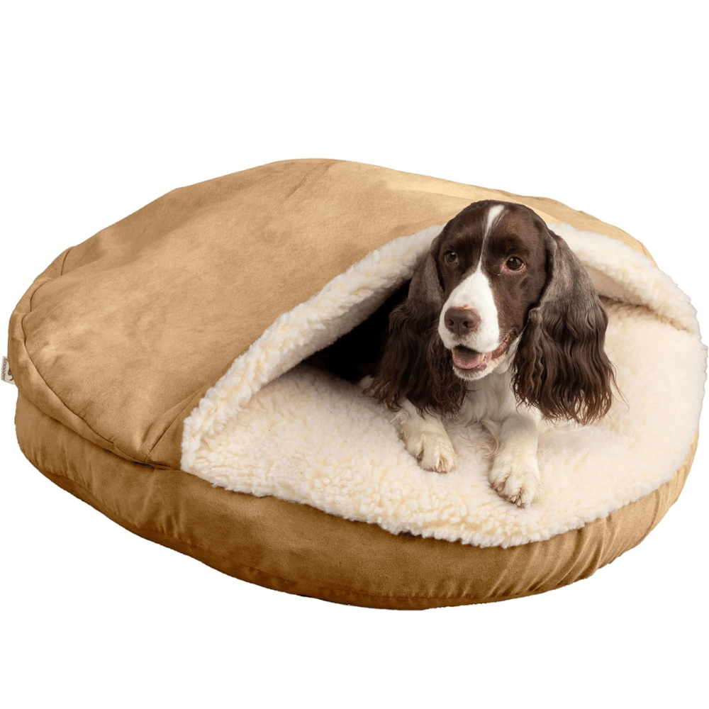 Explore the best dog bed on frame.