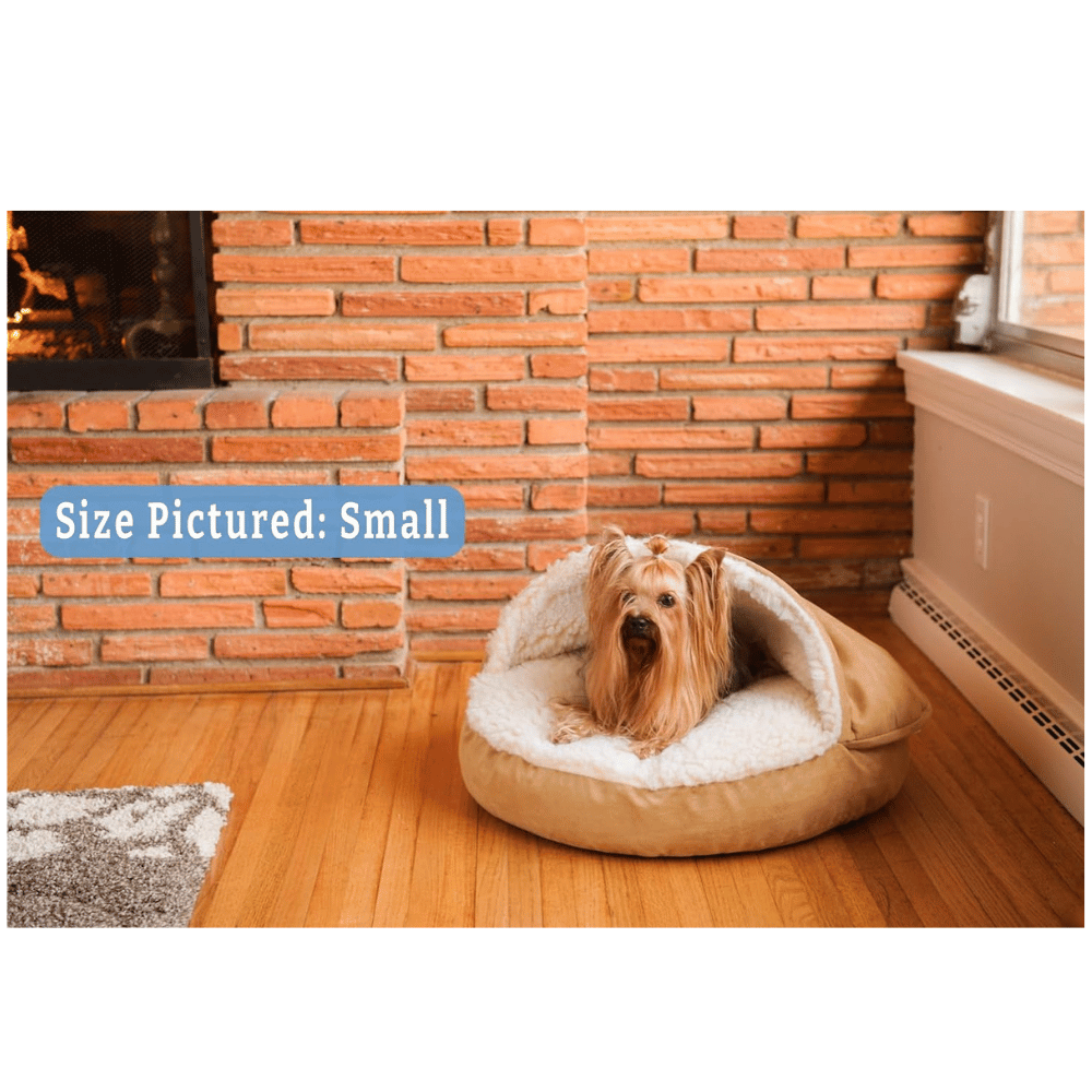 Learn about the best metal frame dog bed.