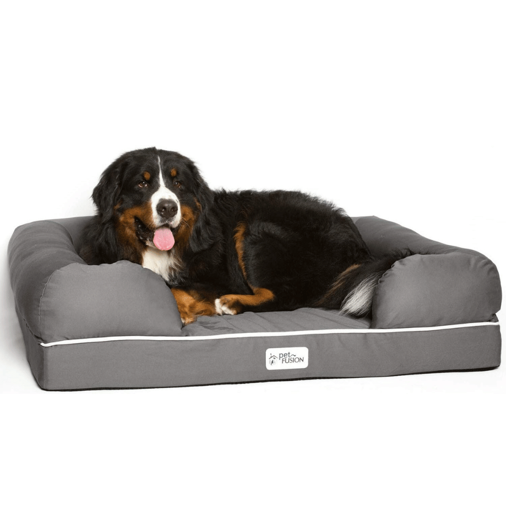 Explore the large dog bed frame.