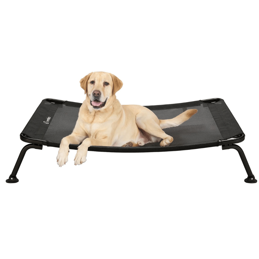 Dog mattress and bed frame.