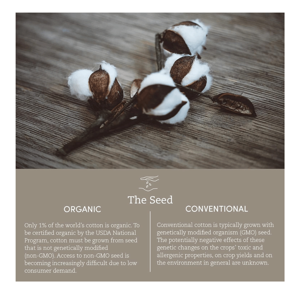 Coyuchi Sustainable Mattress Pad