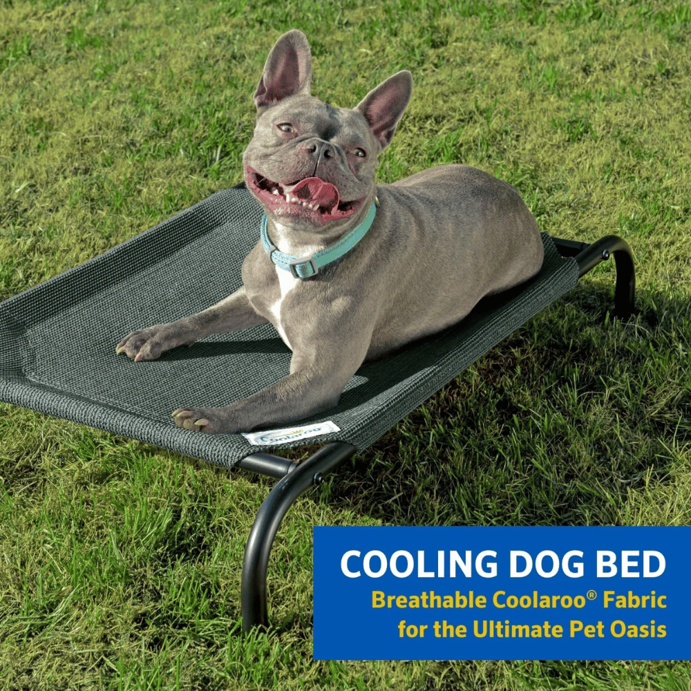 Learn more about the large dog bed frame.