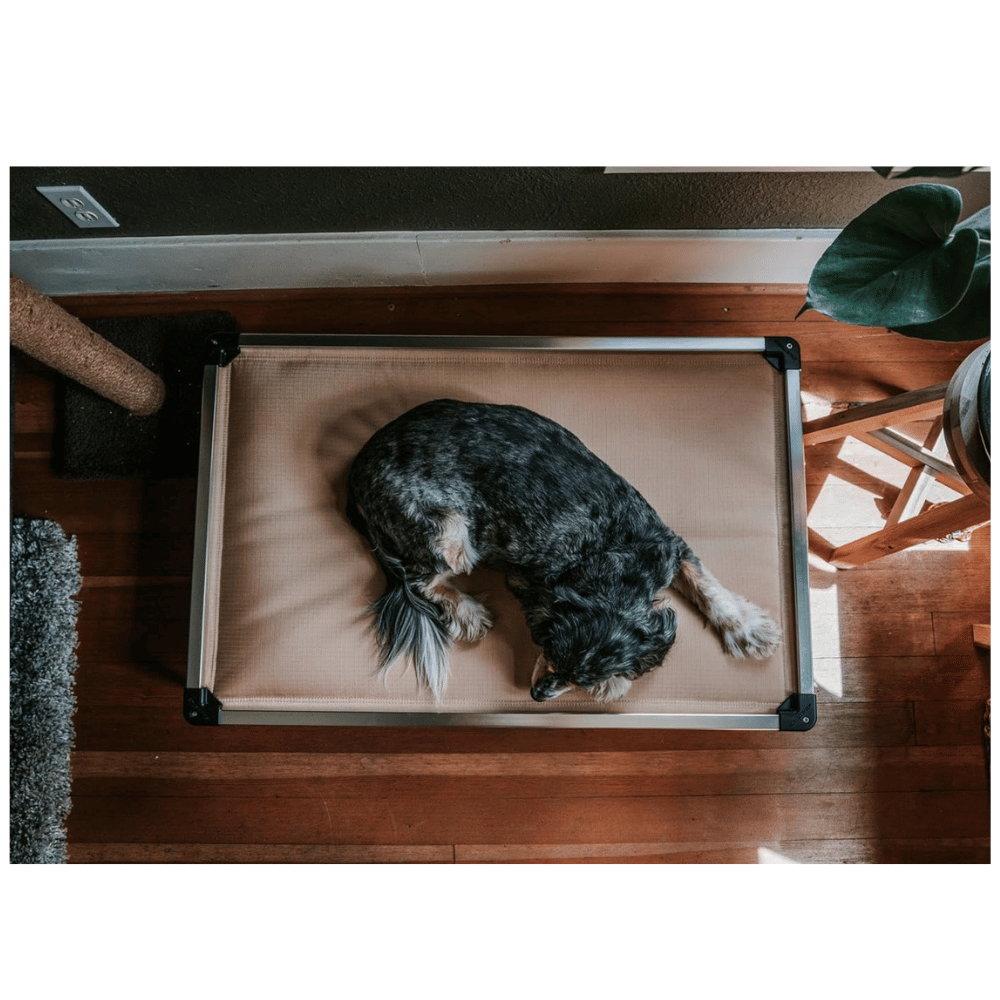 Learn more about our large dog bed with frame.