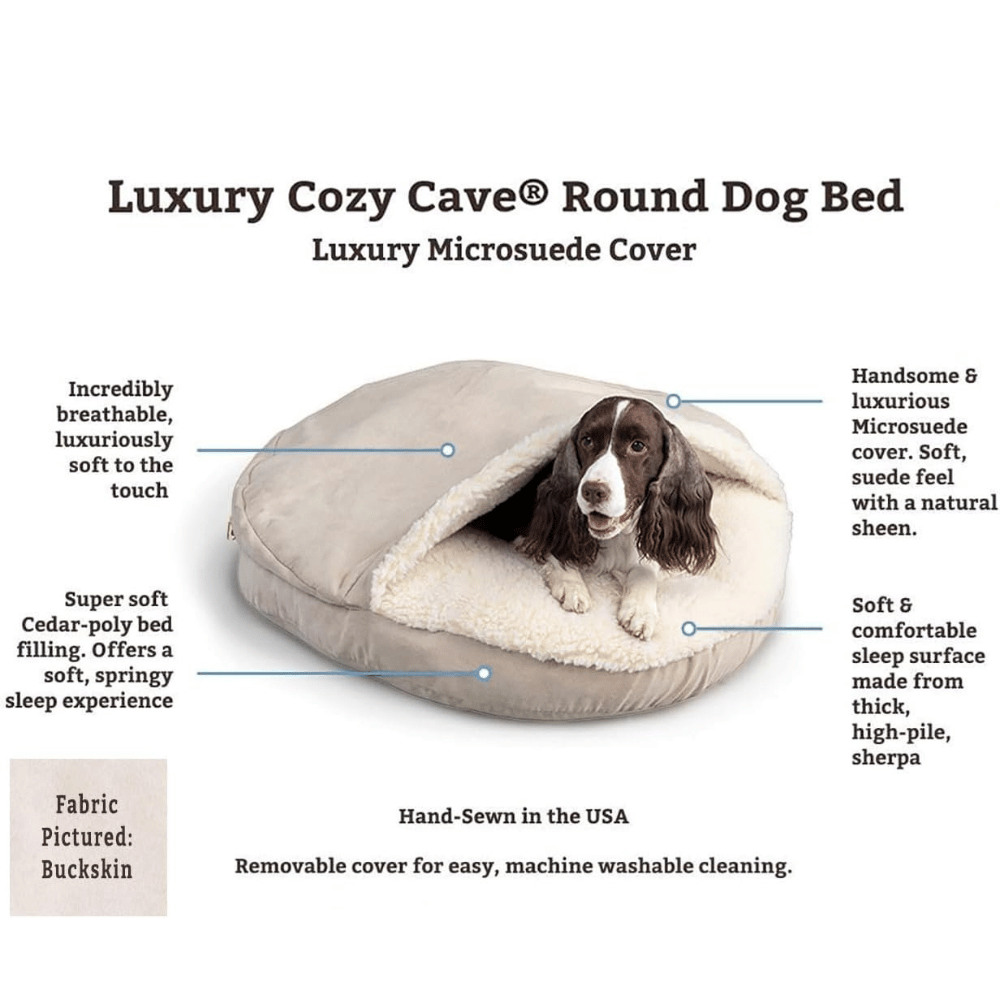 Explore the best dog bed frame.