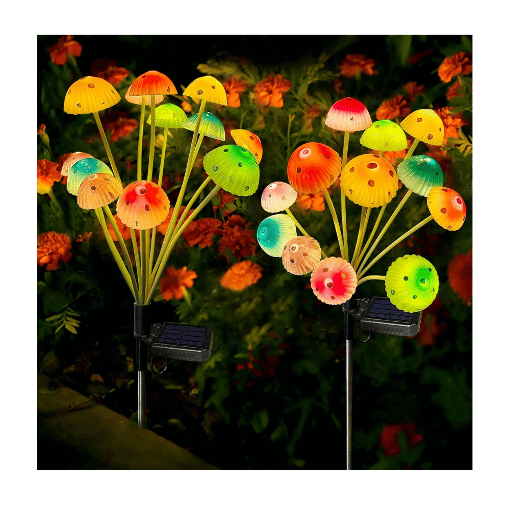 Kohlrabi solar lights