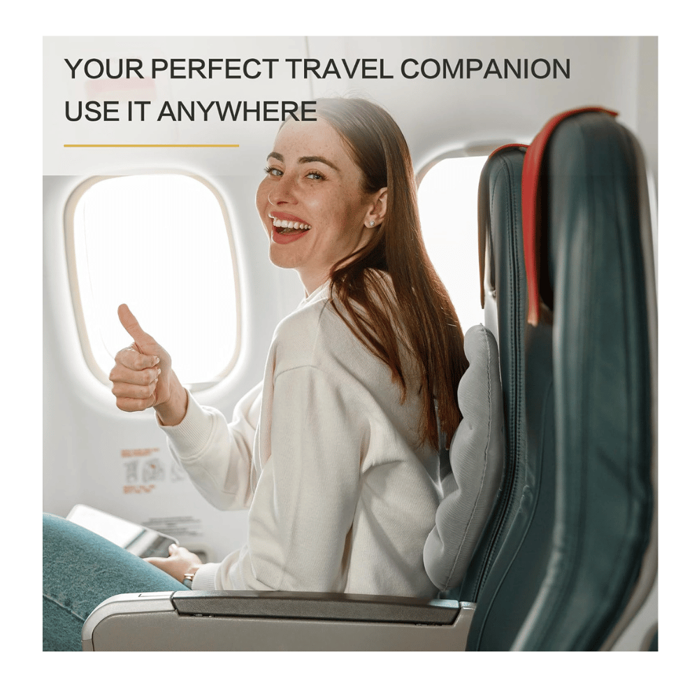 BALAPET back support pilow