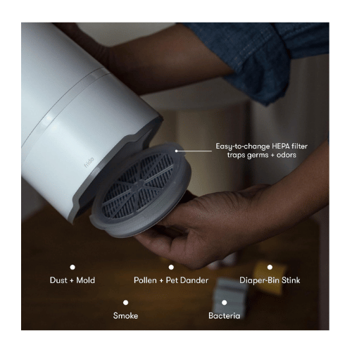 BLUEAIR Portable Air Purifier