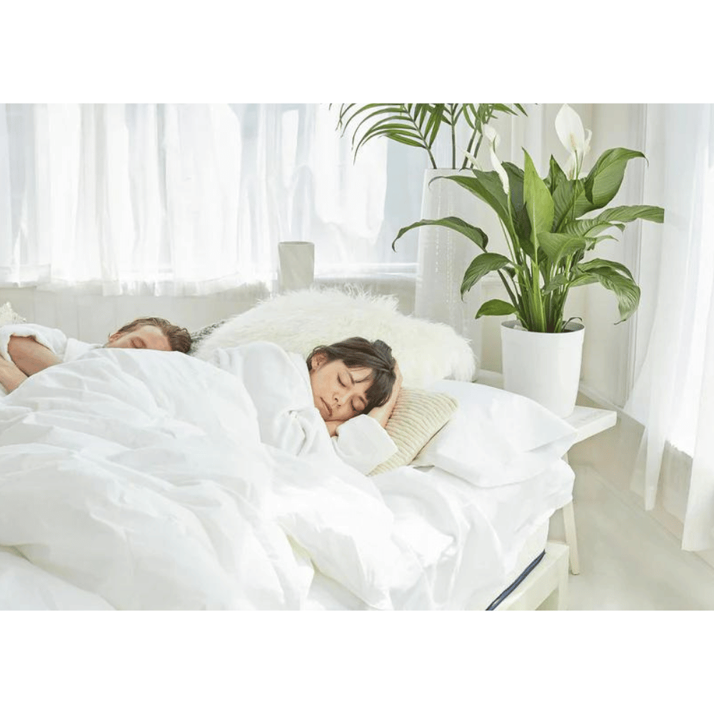 WinkBeds breathable Mattress