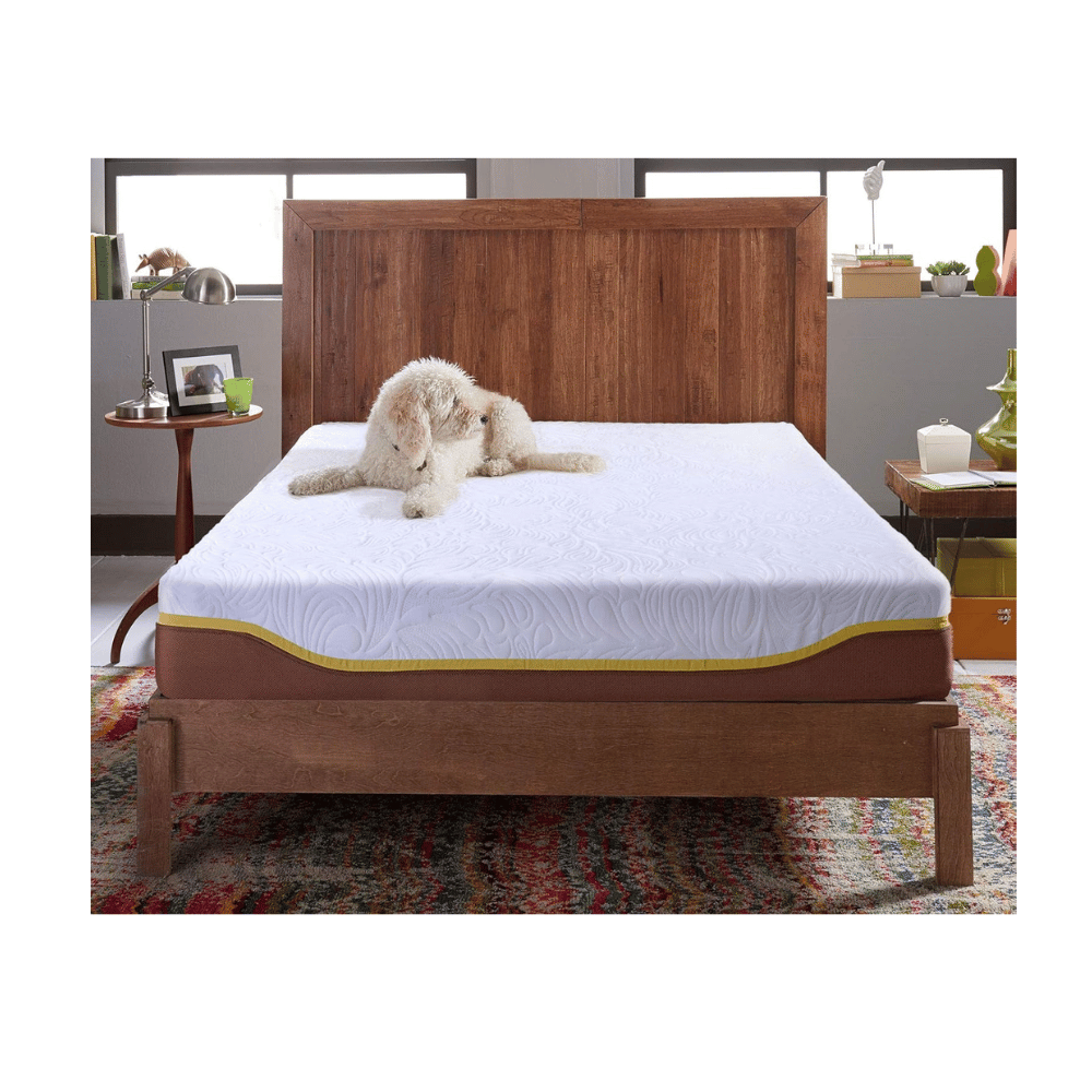 Live & Sleep memory foam bed