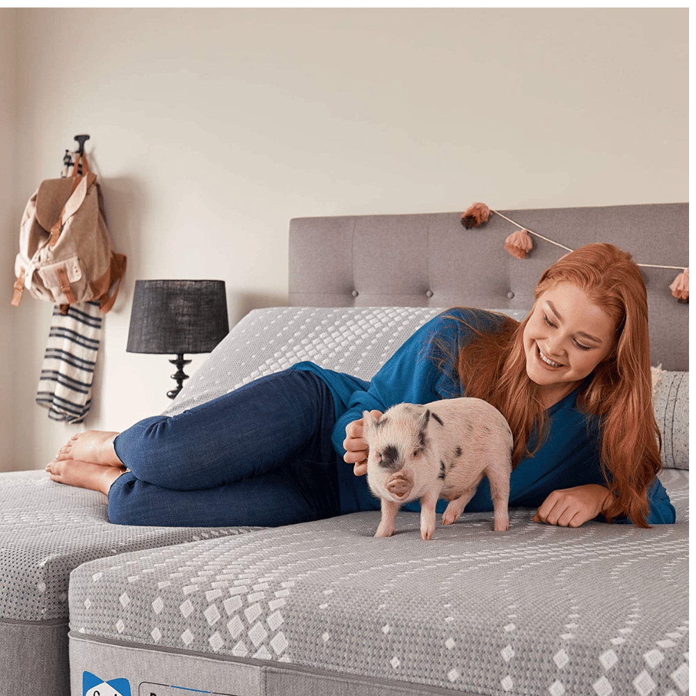 Sealy Posturepedic hybrid bed