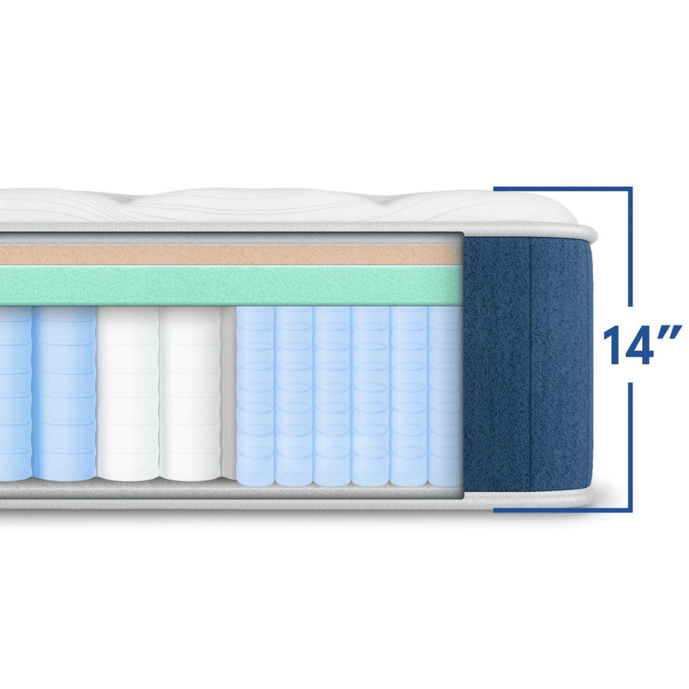 Bear motion transfer king mattress